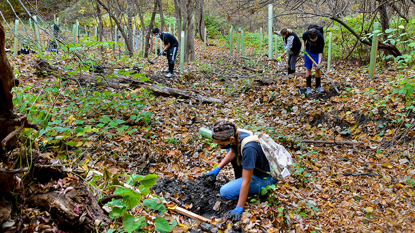 Image of students on Fern Tor Nature Preserve