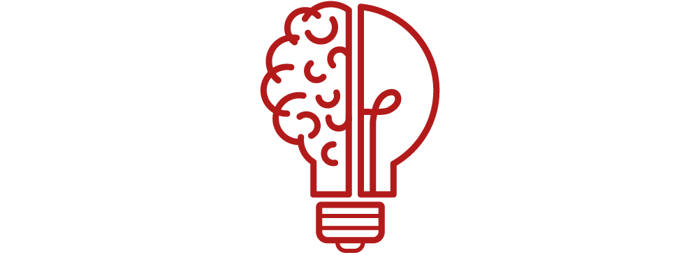 Image of half brain, half light bulb icon.