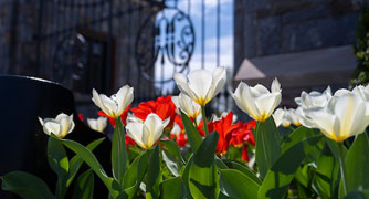 Image of flowers with the Marist gates in the background.