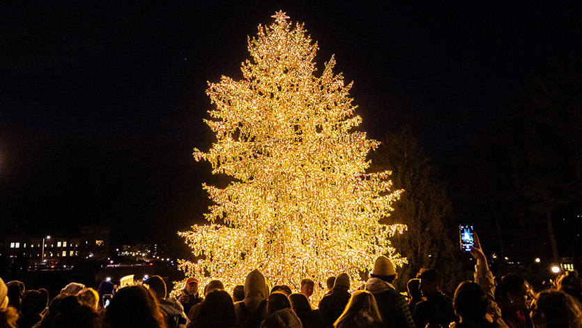 Image of holiday tree lighting 2023.