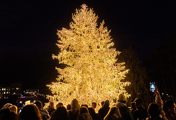 Image of holiday tree lighting 2023.