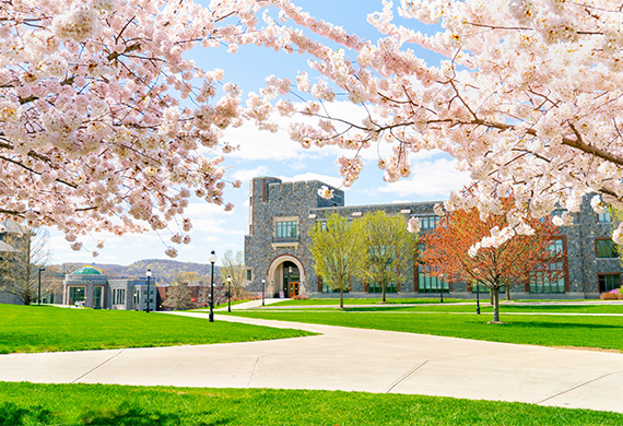 An image of Marist Campus in the Spring