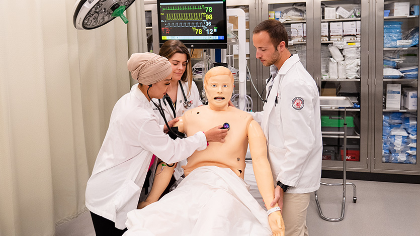 Image of students learning in the School of Science. 