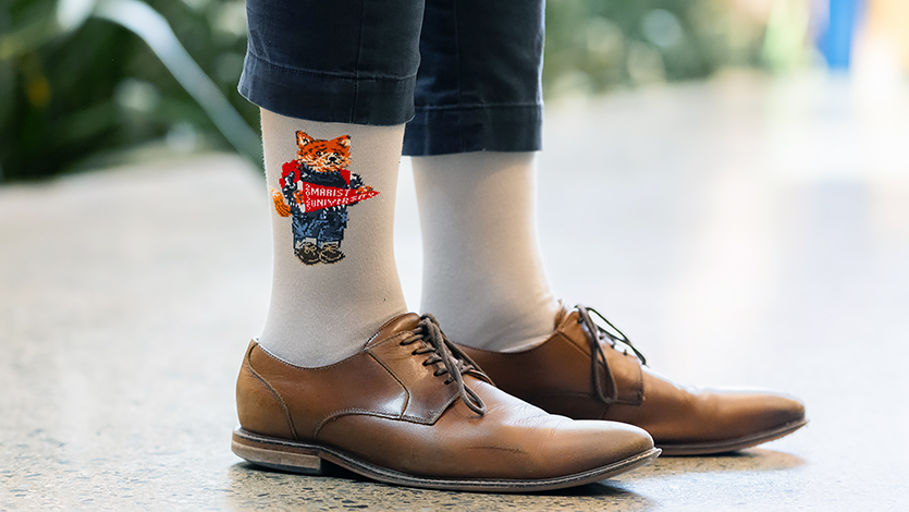 Image of Fox Socks.