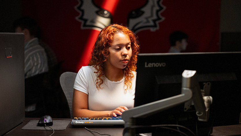 Image of student at computer.