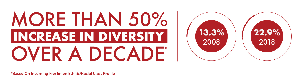 Graphic of: More than 50% increase in diversity over a decade. 14.4% in 2008. 22.9% in 2018.