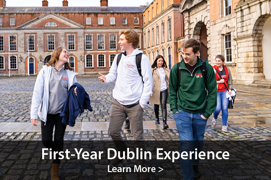 image for first-year dublin experience 